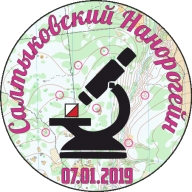 III Традиционные Соревнования «САЛТЫКОВСКиЙ НАНОРОГЕЙН 2019»